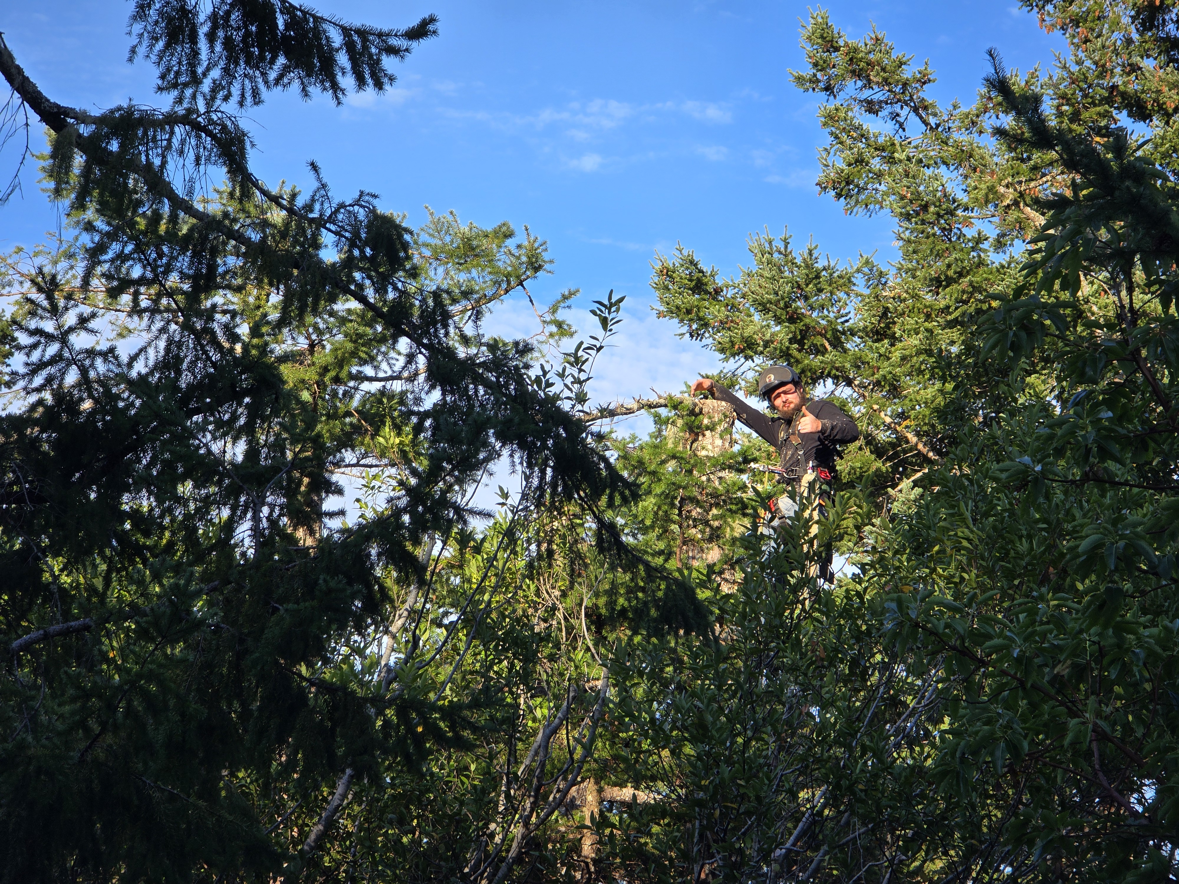 Crane Service in Brookings