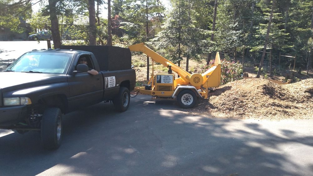 Stump Grinding Process