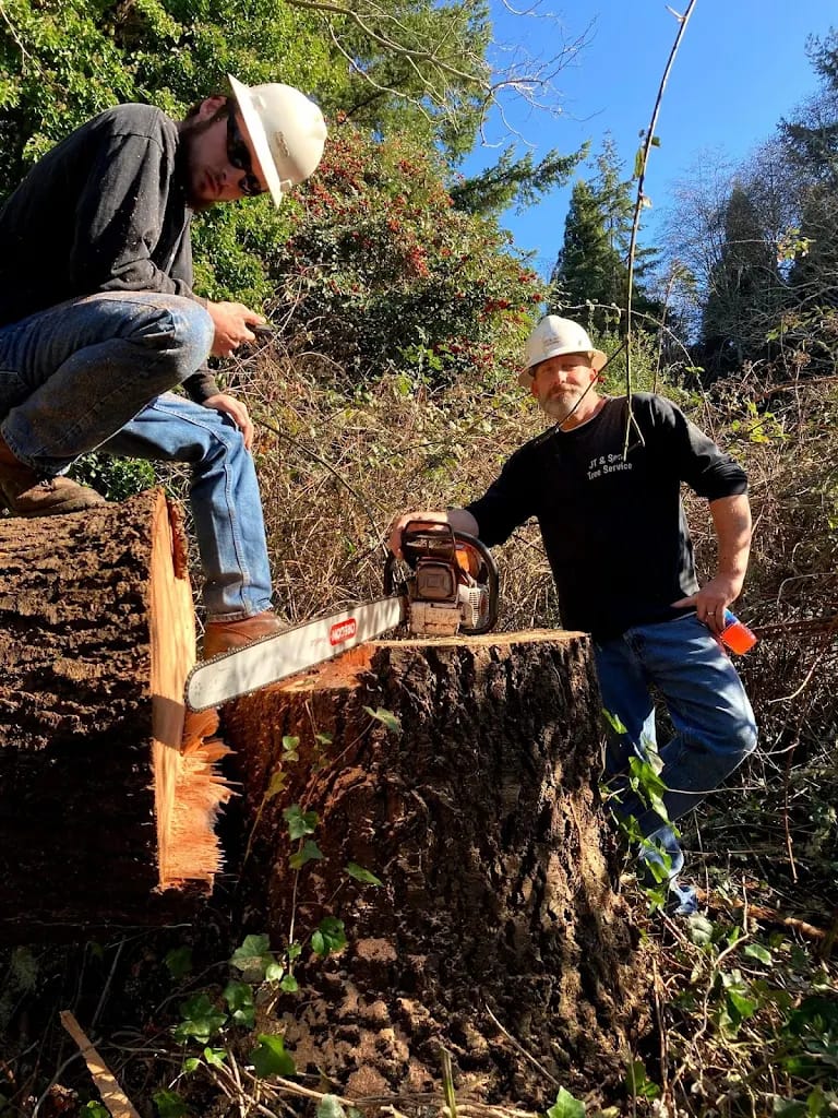 Emergency Tree Service