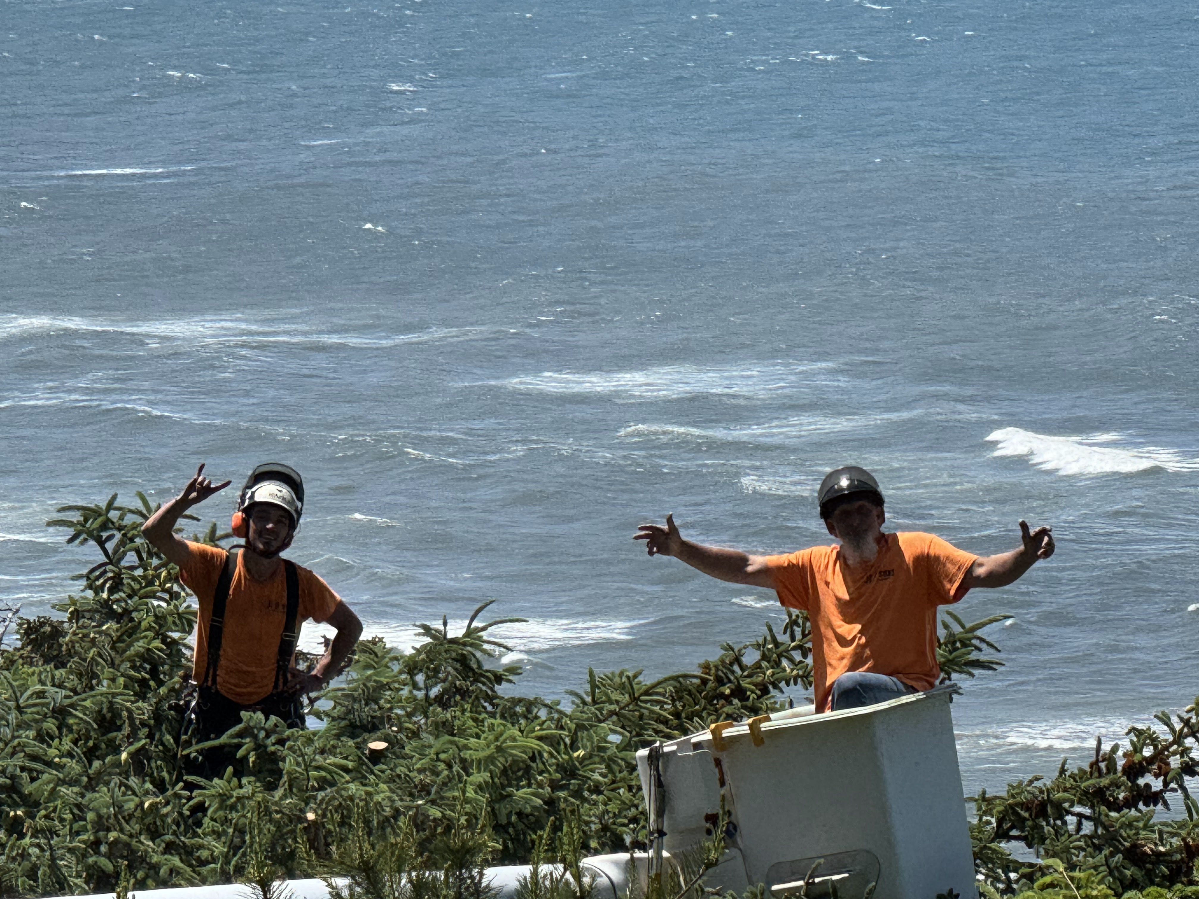 Bucket Truck in Action